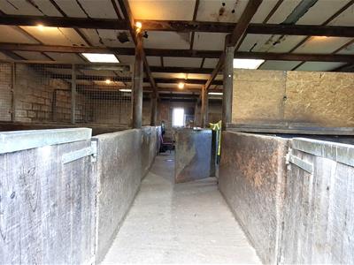 Picture 18